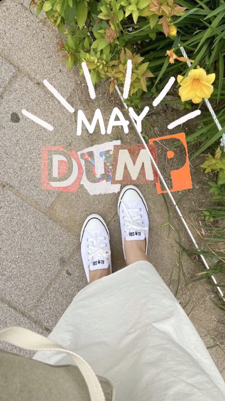 May Dump CapCut Template