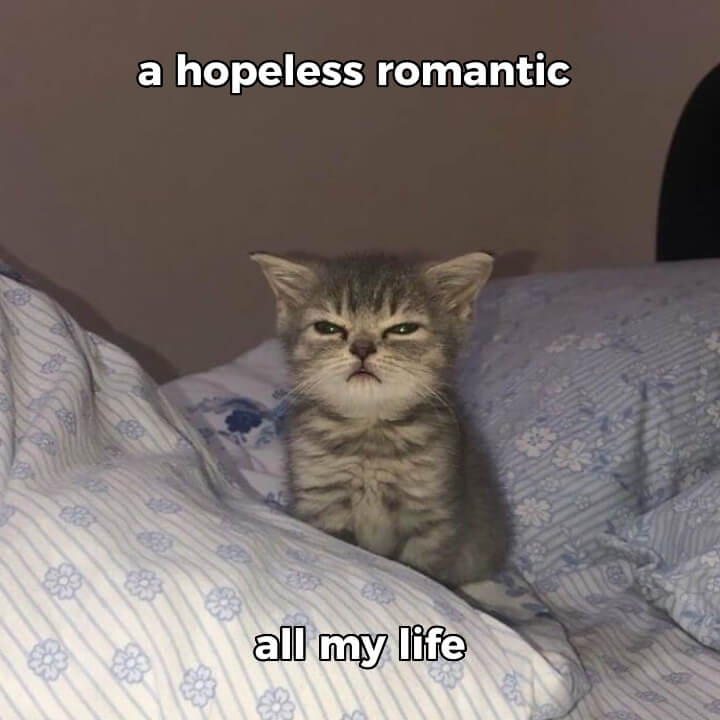 A Hopeless Romantic All My Life CapCut Template
